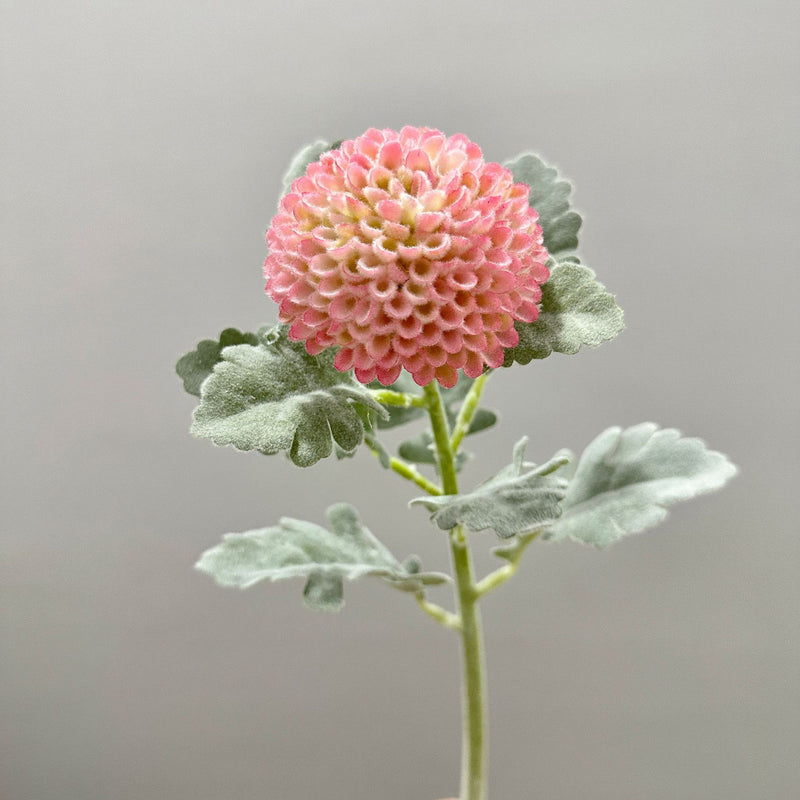 Single Stem Artificial Ping Pong Chrysanthemum Flower, Faux Floral Decor for Weddings, Home, Office, 14.5 Inches