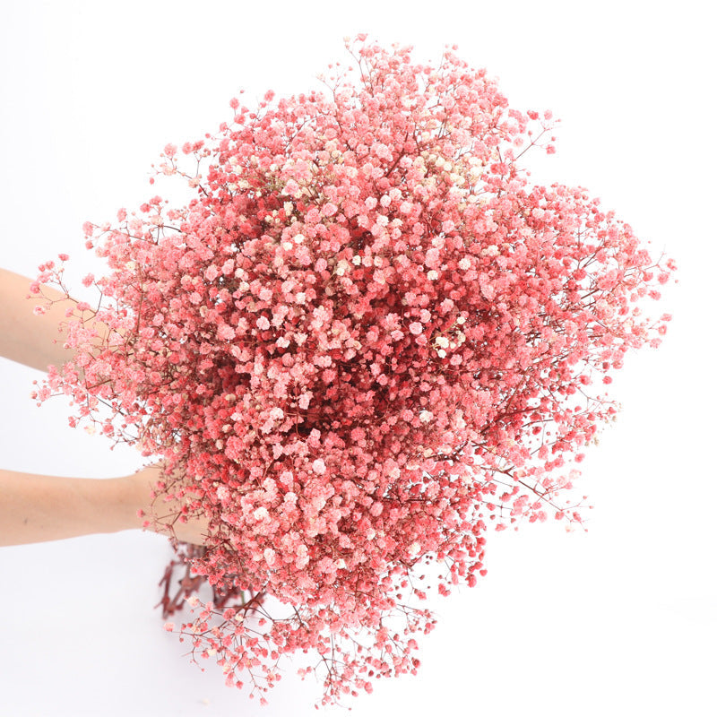 1 Bundle Dried Baby's Breath Gypsy Flowers, Natural Color, Wedding Floral Arrangement, Home Party Decor