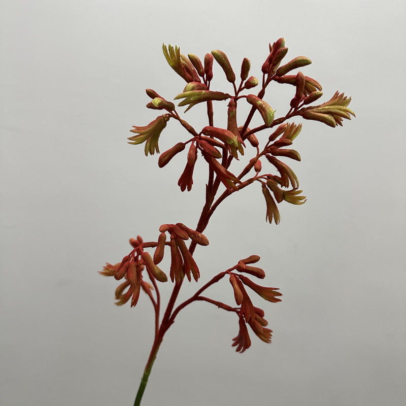 Artificial Kangaroo Paw Bush, Plastic PE/PVC Faux Greenery, Indoor Outdoor, for Home, Weddings & Window Displays