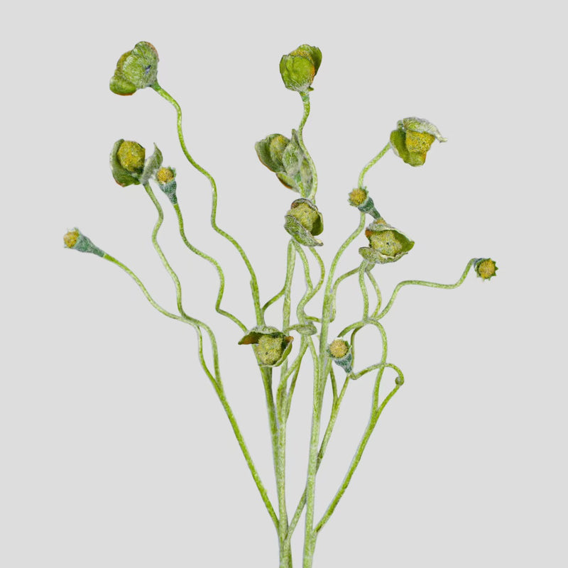 Artificial Poppy Seed Pod Bush, Faux Silk-Like Fabric Fruit Stem, for Wedding, Home & Floral Arrangements