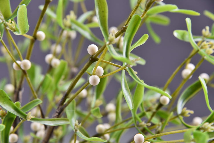 3 Pcs Artificial Mistletoe Stems with Leaf and Pearl Fruit, 12 Inch Winter Xmas Floral Arrangement