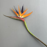 Wedding Decor Large Real Touch Artificial Bird of Paradise - Premium Photo Prop & Home Accent