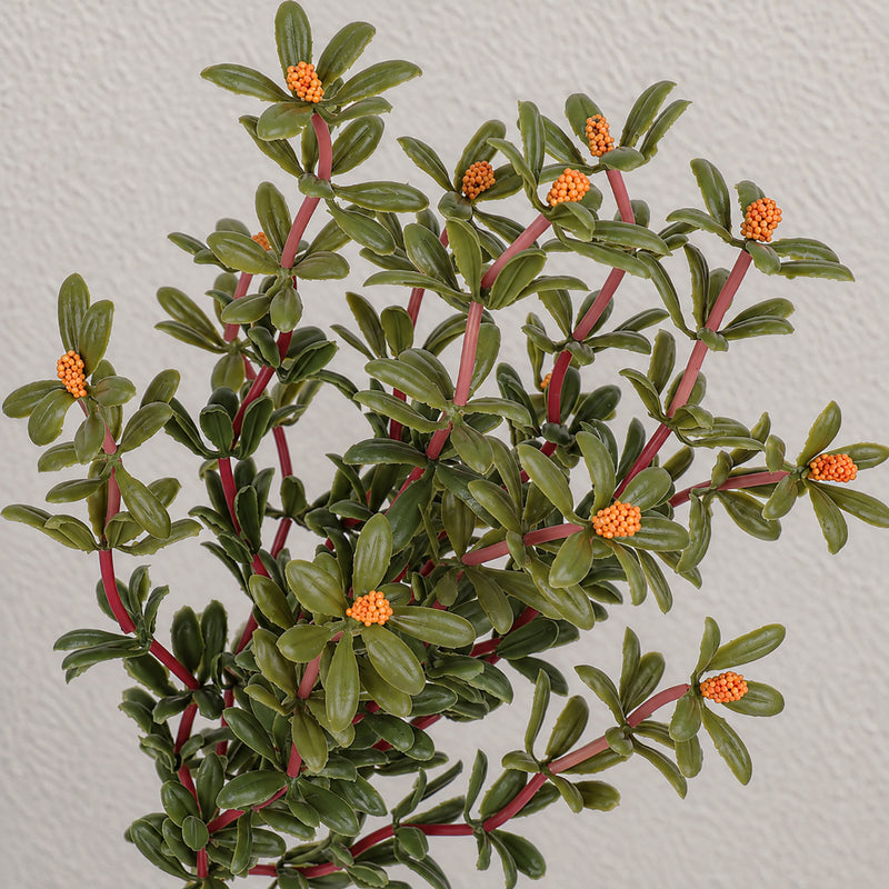 Artificial Purslane Bush, Faux Succulent Greenery Pick, Plastic PE/PVC, Nordic Style, for Wedding, Home Decor & Window Displays