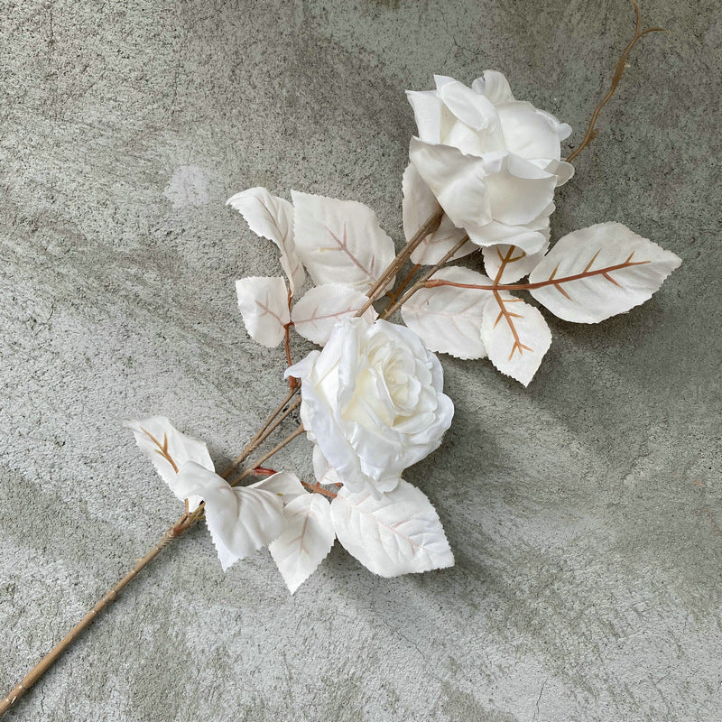 Single Stem Alice Rose with 2 Blooms, 31" Tall, Silk-Like Fabric, Perfect for Weddings, Home Decor & Events