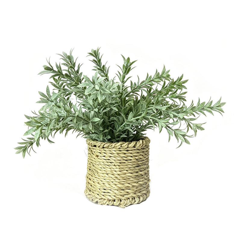 Artificial Pampas Grass Potted Plant, Frosted Plastic Faux Plant in Woven-Style Pot, Home, Patio & Display Decor