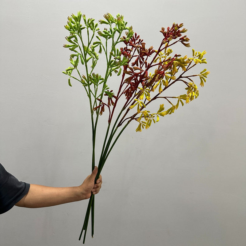 Artificial Kangaroo Paw Bush, Plastic PE/PVC Faux Greenery, Indoor Outdoor, for Home, Weddings & Window Displays
