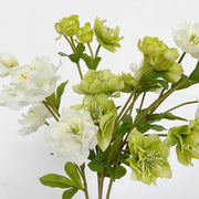 23 Inch Artificial Silk Helleborus Spray Branches 10 Pcs Bulk Wholesale