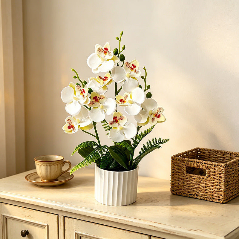 Potted Phalaenopsis Orchid with 9 Blooms, 12.4" Tall, Plastic, Includes Planter, for Home, Office, Weddings, and Events