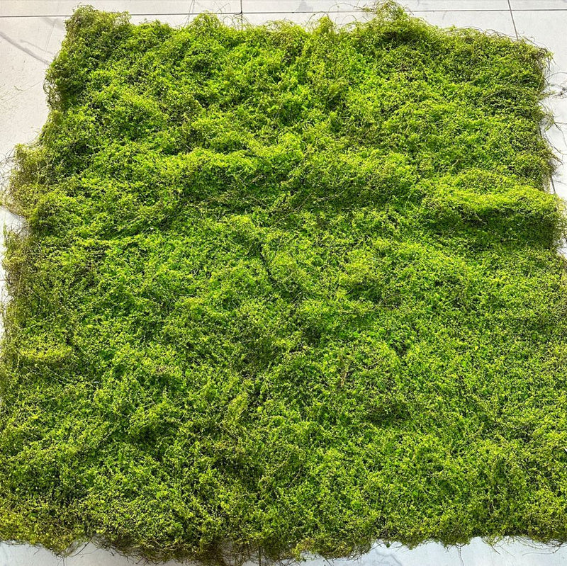Artificial Moss Grass Mat, 39" x 39", Indoor Decorative Landscape, Wedding & Event Decor