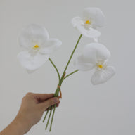 Premium 3D Film Artificial Butterfly Orchid Bouquets - 5 Bunches (3 Stems per Bunch) for Home & Wedding Decor