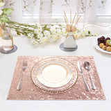 11.81 x 17.71 Inch Polyester Placemats with Sequin Embroidery, Solid Color Dining Table Mats, Stain-Resistant Washable Table Decor for Kitchen/Dining Room/Party