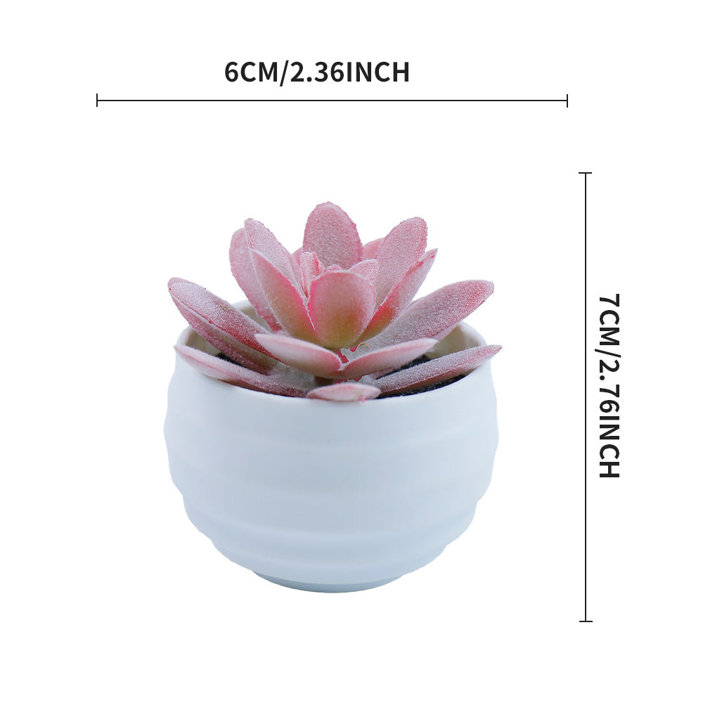 Bulk 2Pcs Succulents Plants 2025 Artificial 2.5 Inch Pots for Boho Bedroom Aesthetic & Office Zen Decor Hypoallergenic Wholesale