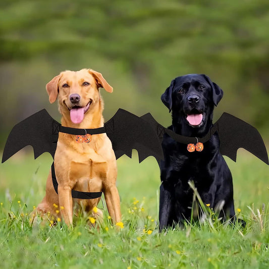 Halloween Bat Wings Pet Costume - Cute Outfit for Cats, Dogs & Small Breeds