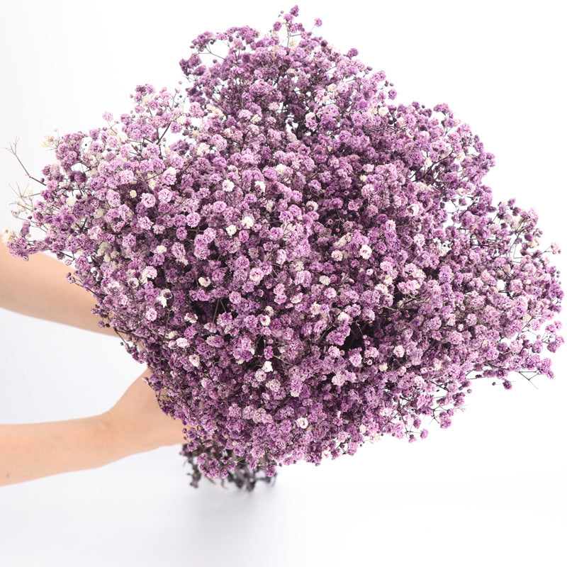 1 Bundle Dried Baby's Breath Gypsy Flowers, Natural Color, Wedding Floral Arrangement, Home Party Decor