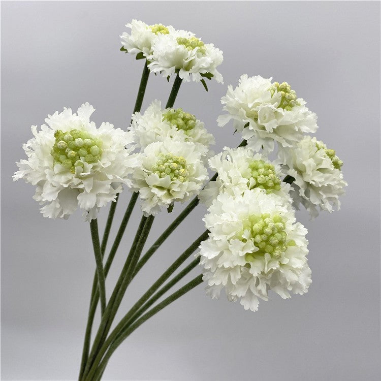 Artificial White Scabiosa Flowers 24 Inch Stems 10 Pcs Bulk Silk Floral Stems