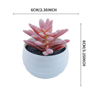 Bulk 2Pcs Succulents Plants 2025 Artificial 2.5 Inch Pots for Boho Bedroom Aesthetic & Office Zen Decor Hypoallergenic Wholesale