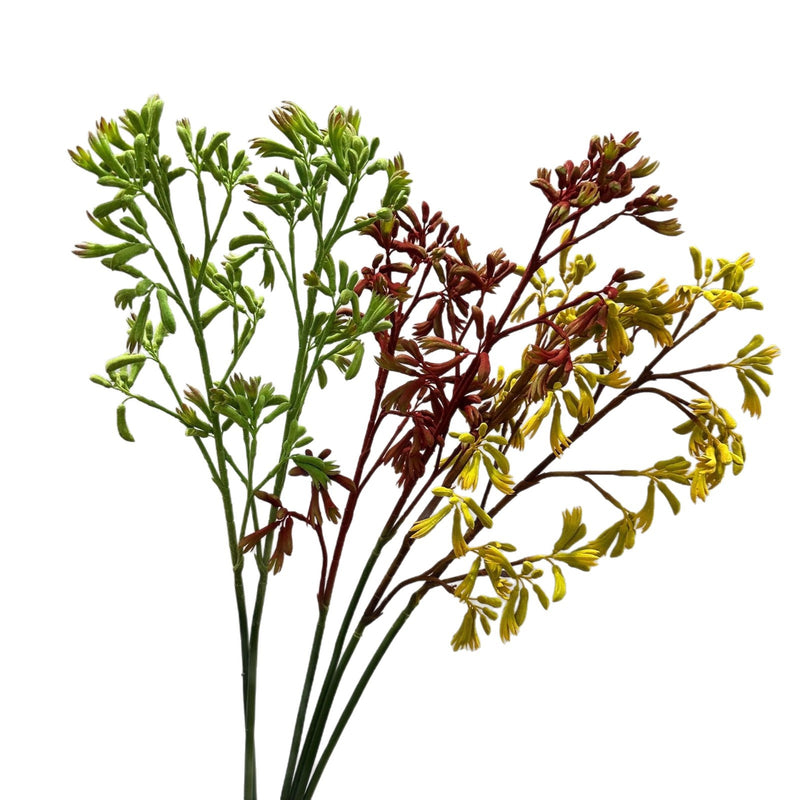 Artificial Kangaroo Paw Bush, Plastic PE/PVC Faux Greenery, Indoor Outdoor, for Home, Weddings & Window Displays