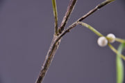 3 Pcs Artificial Mistletoe Stems with Leaf and Pearl Fruit, 12 Inch Winter Xmas Floral Arrangement