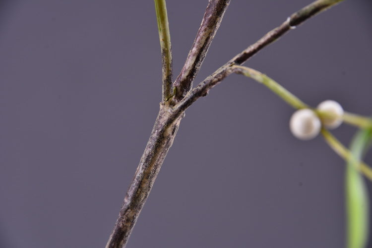 3 Pcs Artificial Mistletoe Stems with Leaf and Pearl Fruit, 12 Inch Winter Xmas Floral Arrangement