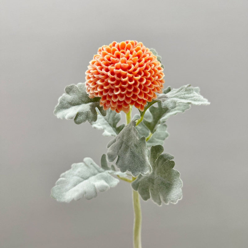 Single Stem Artificial Ping Pong Chrysanthemum Flower, Faux Floral Decor for Weddings, Home, Office, 14.5 Inches