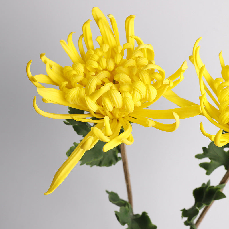 Single Stem PU Chrysanthemum Artificial Flower, 28" Tall, Perfect for Weddings, Events, and Indoor Decor