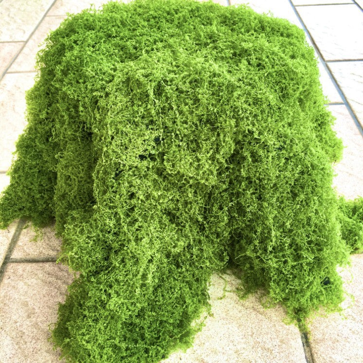 Artificial Moss Grass Mat, 39" x 39", Indoor Decorative Landscape, Wedding & Event Decor
