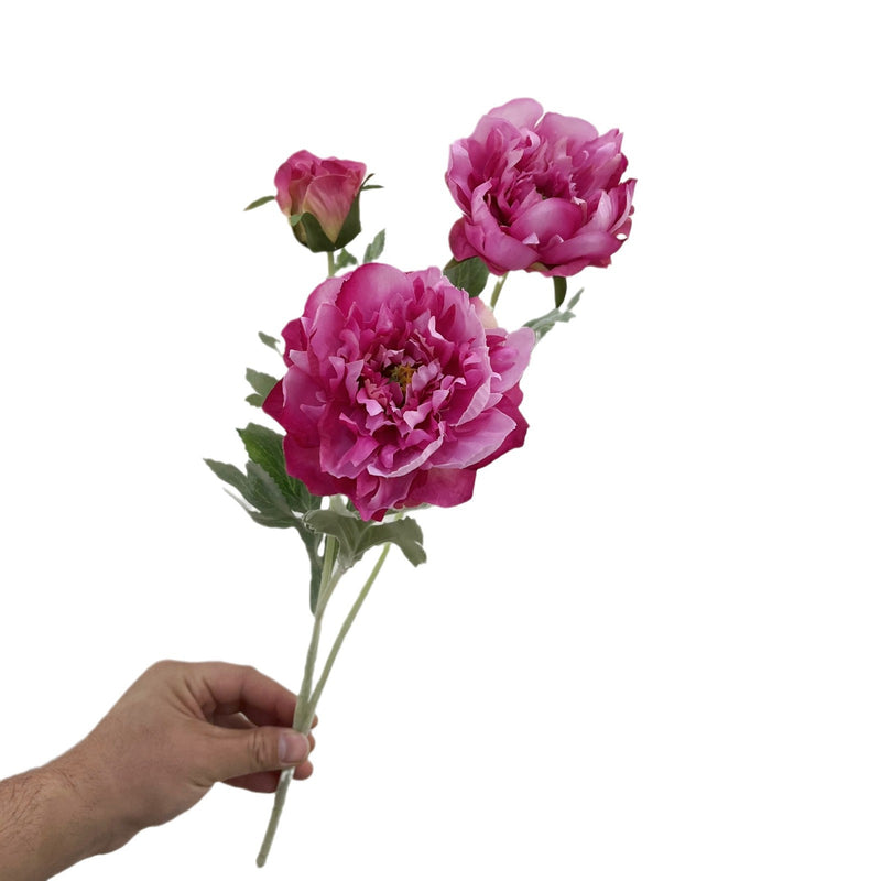 Single Stem Artificial Peony Flower, 3 Blooms, 20" Tall, Silk-Like Fabric, for Home Decor, Wedding, Event Arrangements