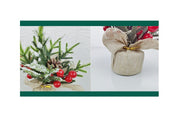 Simulation Mini Xmas Tree with Cedar Branches, Tabletop Ornament, Bulk Wholesale Pack