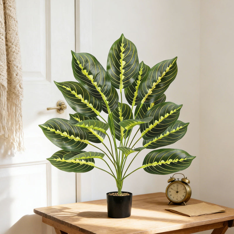 Artificial Calathea Plant, 17 Inch Tall, Realistic Plastic Greenery for Home, Office, Wedding Decor