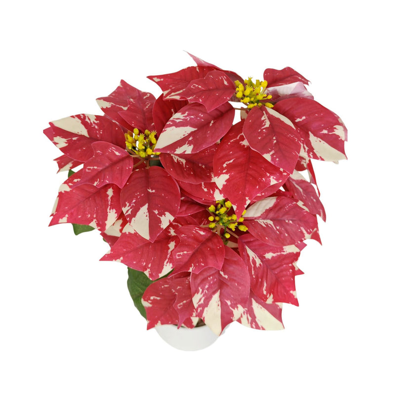 Artificial Poinsettia Bush with 23cm (9") Snowflake-Patterned Blooms, 20" Tall, Indoor Decor