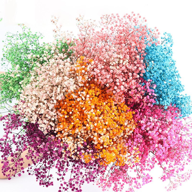 1 Bundle Dried Baby's Breath Gypsy Flowers, Natural Color, Wedding Floral Arrangement, Home Party Decor