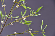 3 Pcs Artificial Mistletoe Stems with Leaf and Pearl Fruit, 12 Inch Winter Xmas Floral Arrangement