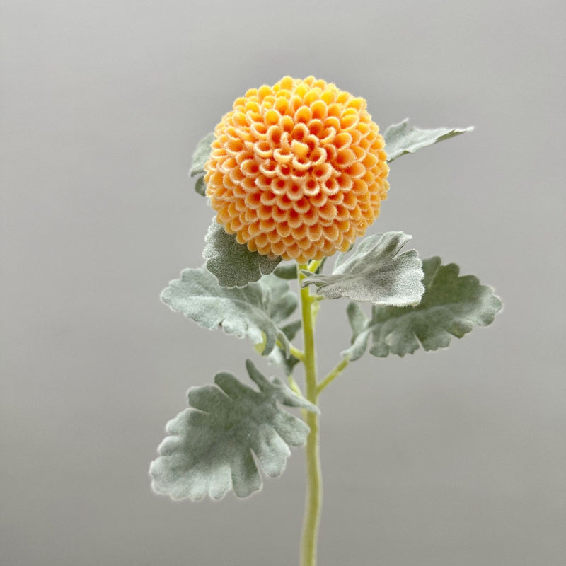 Single Stem Artificial Ping Pong Chrysanthemum Flower, Faux Floral Decor for Weddings, Home, Office, 14.5 Inches