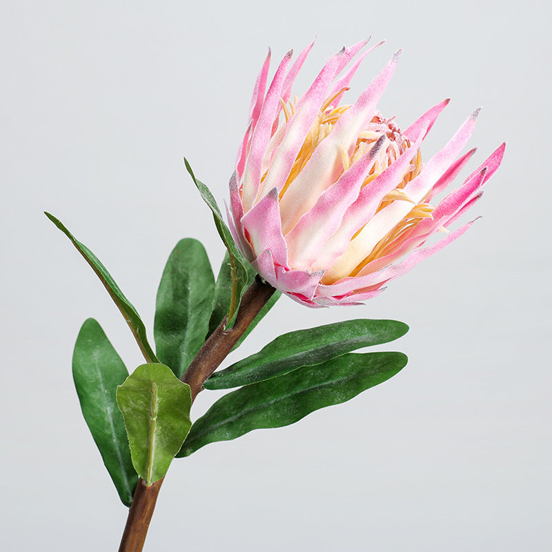 Single Stem Artificial King Protea Flower, 22" Tall, Plastic, Indoor Decor for Home, Weddings & Events