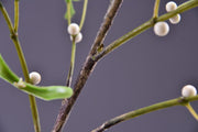3 Pcs Artificial Mistletoe Stems with Leaf and Pearl Fruit, 12 Inch Winter Xmas Floral Arrangement