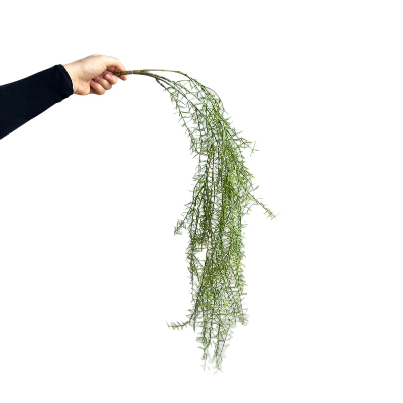 Artificial Asparagus Fern Hanging Vine, 35" Indoor Trailing Plant, PE Material, Perfect for Home & Office Decor