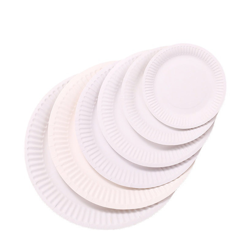 Bulk 20 Pcs Disposable Paper Plates Wholesale