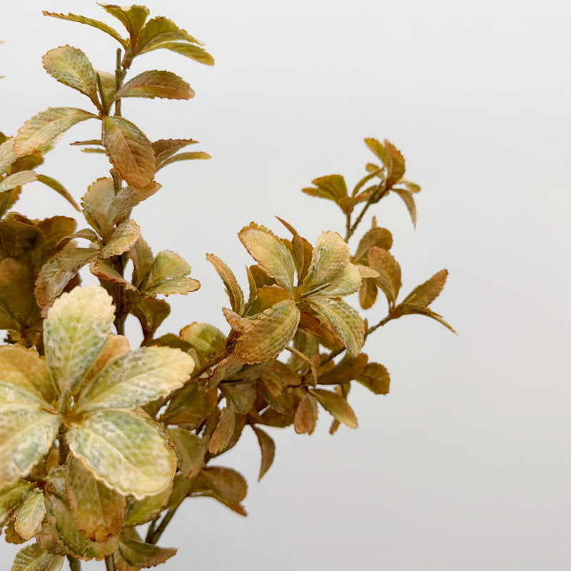 Artificial Boston Fern-Style Leaf Bush, Autumn Plastic Greenery Stem Filler for Floral Arrangements, Weddings & Home Decor