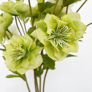 23 Inch Artificial Silk Helleborus Spray Branches 10 Pcs Bulk Wholesale