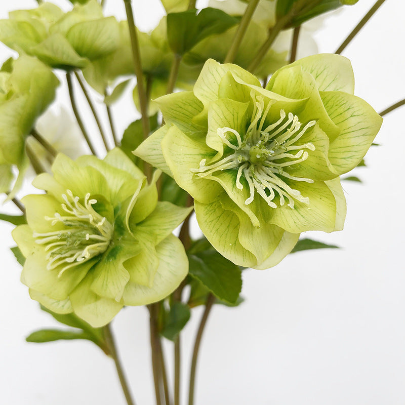 23 Inch Artificial Silk Helleborus Spray Branches 10 Pcs Bulk Wholesale