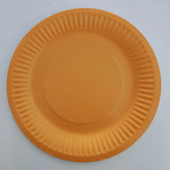 Bulk 9 Inch Disposable Eco-Friendly Paper Plates Wholesale