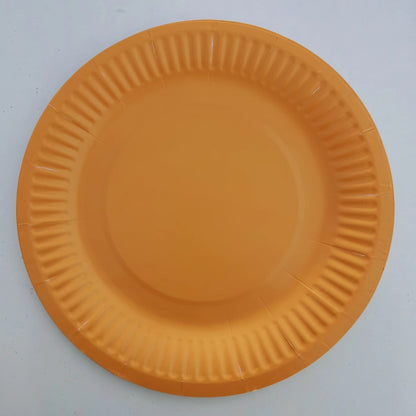 Bulk 9 Inch Disposable Eco-Friendly Paper Plates Wholesale