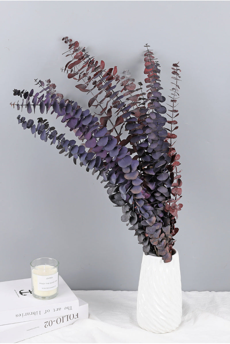 10 Pcs Preserved Dried Eucalyptus Stems Bulk Artificial Floral Greenery