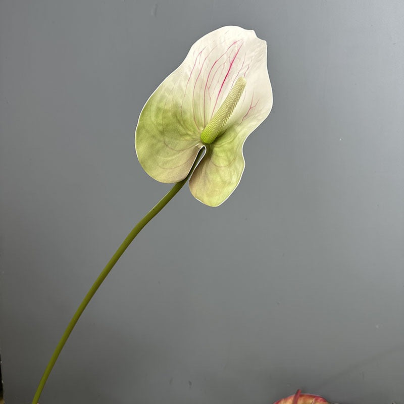 Single Stem Anthurium Artificial Flower, 28" Tall with 5" Bloom, Lifelike Red Flamingo Lily for Home & Event Decor