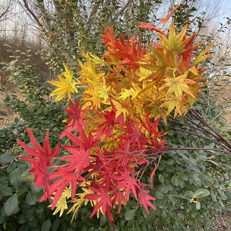 Single Stem Artificial Maple Leaf Branch, 38 Blooms, 39" Tall, Silk-Like Fabric, Perfect for Weddings, Home Decor, and Events