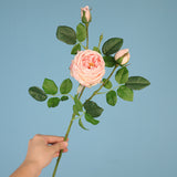 27.6" Ins-Style Faux Pink Rose Stem – Artificial Flower for Home Decor (Living Room/Dining Table) | Wedding & Photoshoot Prop