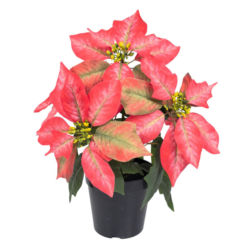 Artificial Poinsettia Bush with 5 Blooms, 12" Tall, Plastic, Indoor/Outdoor Holiday Decor