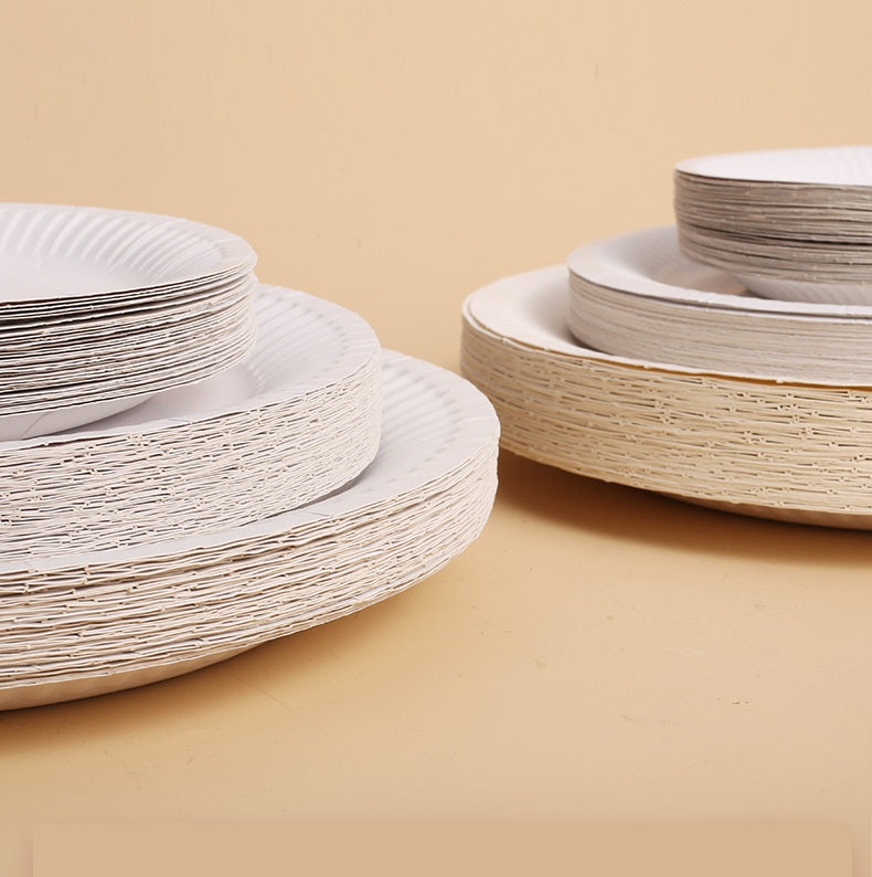 Bulk 20 Pcs Disposable Paper Plates Wholesale