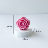 Valentine's Day DIY Rose Scented Candle - Atmosphere Gift for Holidays & New Year