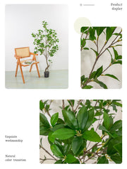 5 Ft Artificial Enkianthus Perulatus Tree Plant Greenery Bulk Decoration